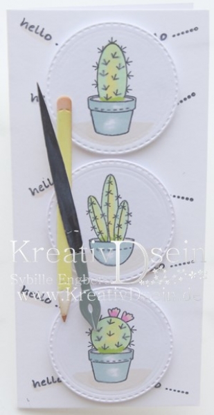 6410/0403 Mery's Kakteen